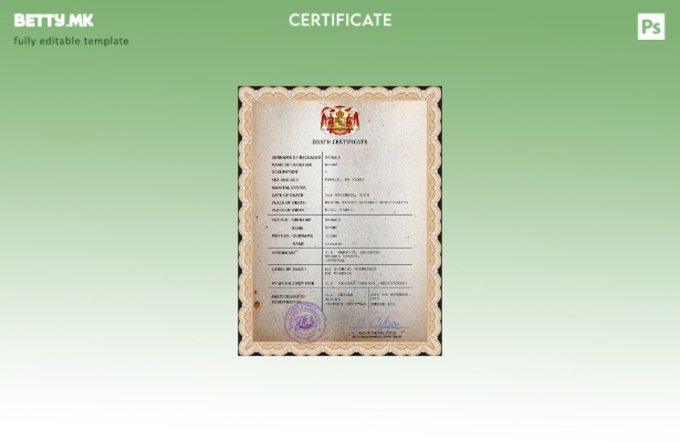 Модерен стил на Хаваи, шаблон за шаблон за PSD сертификат за смртен рекорд