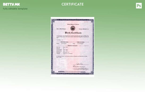 Модерен стил на шаблон за верзија на извод од матична книга на родени САД Западн