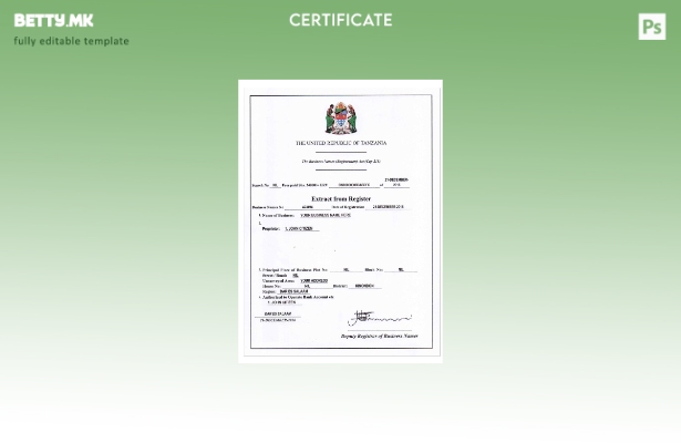 Модерен стил шаблон верзија за регистрација на бизнис во ТАНЗАНИЈА