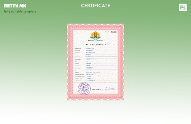 Модерен стил шаблон за ПСД од извод од матична книга на родените Бугарија