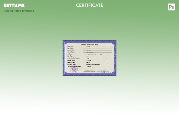 Модерен стил шаблон за ПСД од уверение за смрт во Кина