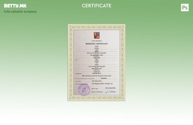 Модерен стил шаблон за американски брак во Чешка