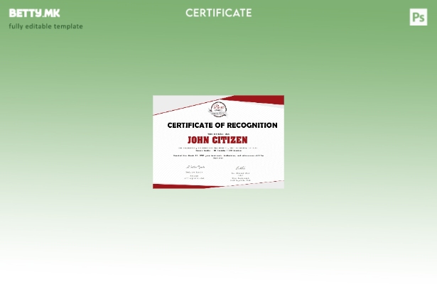 Модерен стил шаблон за верзија на сертификат за препознавање на САД