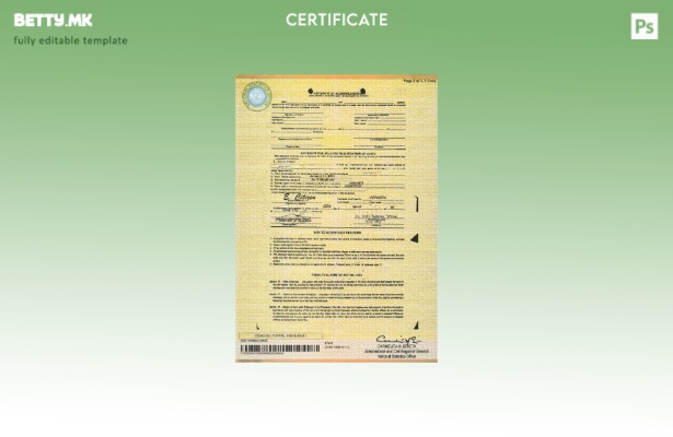 Модерен стил шаблон за извод од матична книга на родените Филипини во шаблон за