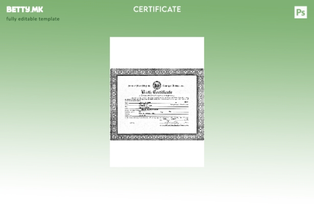 Модерен стил шаблон за извод од матична книга на родените во САД Западна Вирџини