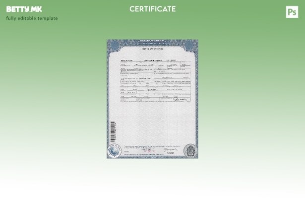 Модерен стил шаблон за извод од матична книга на родените во САД Тексас