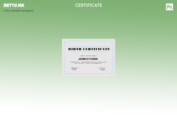 Модерен стил шаблон за извод од матична книга на родените во САД во шаблон Word