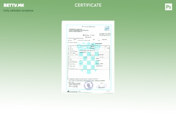 Модерен стил шаблон за извод од матична книга на родените во Хрватска