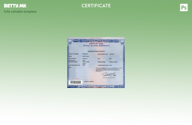 Модерен стил шаблон за извод од матична книга на родените во државата Охајо во ш