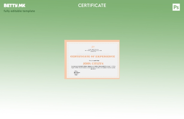 Модерен стил шаблон за искуство на компанијата во САД