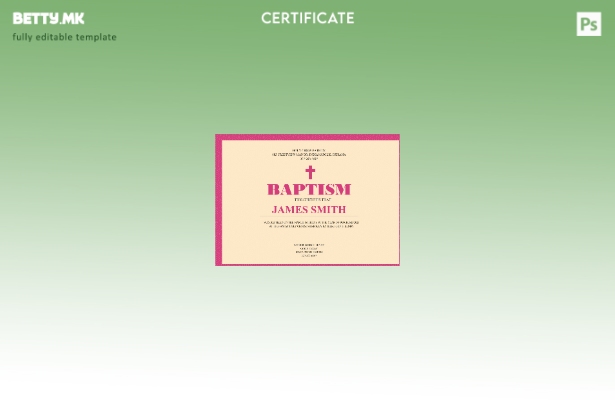 Модерен стил шаблон за крштевка на САД