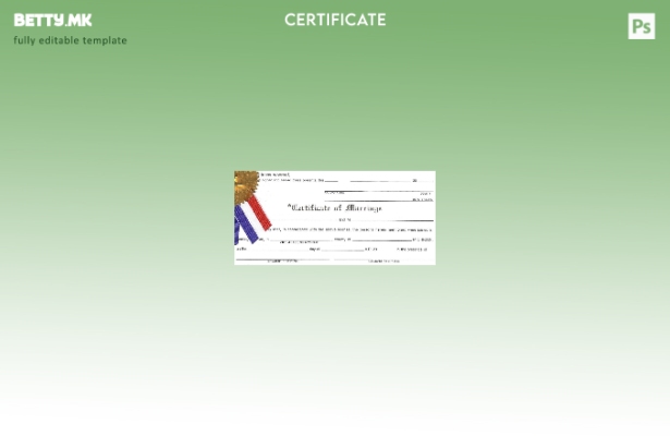 Модерен стил шаблон за потврда за брак од округот Мичиген во САД