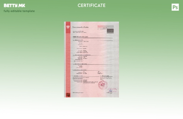 Модерен стил шаблон за потврда за смрт во Полска