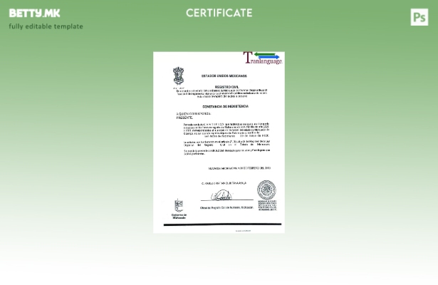 Модерен стил шаблон за сертификат за Мексико SAT