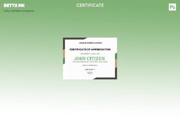 Модерен стил шаблон за сертификат за Софтбол на САД