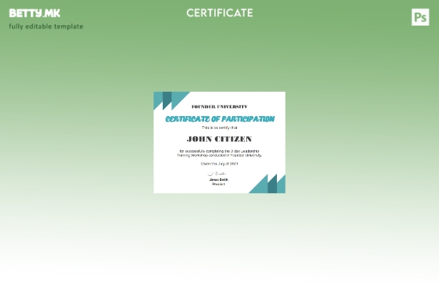 Модерен стил шаблон за сертификат за бизнис школа на САД