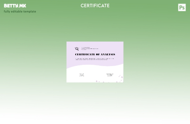 Модерен стил шаблон за сертификат за општа анализа на САД