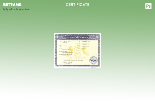 Модерен стил шаблон за сертификат за раѓање во САД Пенсилванија