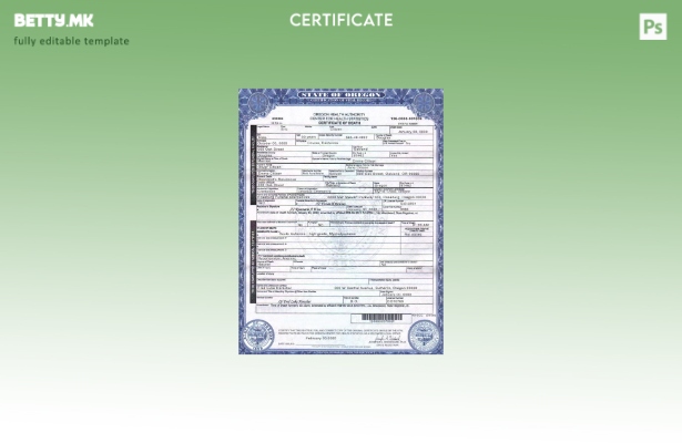 Модерен стил шаблон за сертификат за смрт од САД Орегон