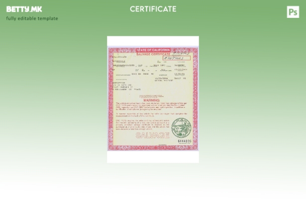 Модерен стил шаблон за сертификат за спасување во САД Калифорнија