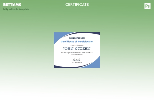 Модерен стил шаблон за сертификат за учество во програмата на САД