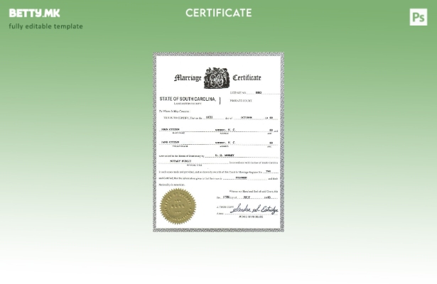 Модерен стил шаблон за уверение за брак во САД Јужна Каролина во шаблон за форма