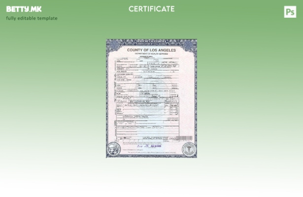 Модерен стил шаблон за уверение за смрт на САД во Калифорнија во шаблон за форма