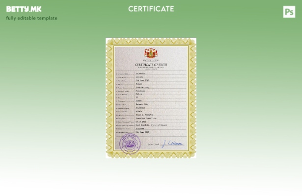 Модерен стил шаблон за PSD извод од матична книга на Хаваи