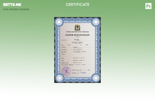 Модерен стил шаблон за PSD извод од матична книга на родените Танзанија