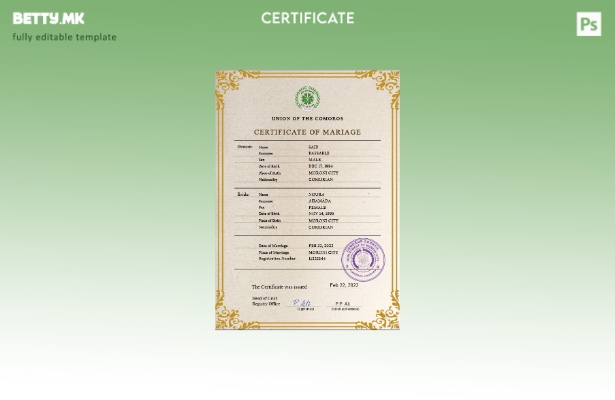 Модерен стил шаблон за PSD шаблон за Австралија за брак на Коморите