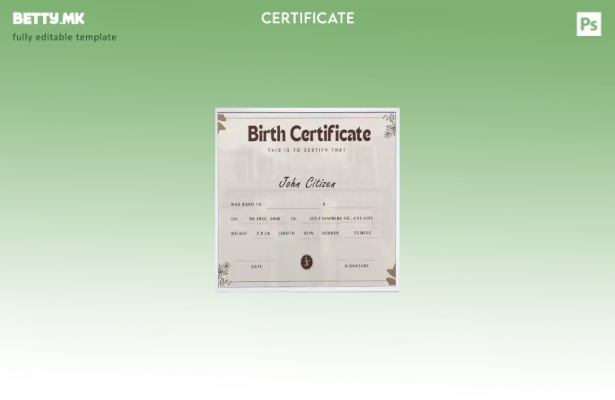 Модерен стил њујоршки шаблон за извод на раѓање