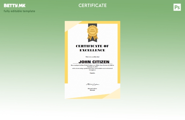 Модерен стил USA Excellence Cert шаблон