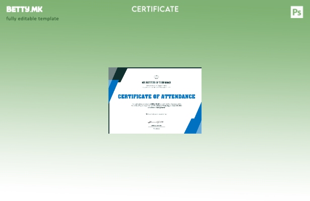 Модерен стил USA NCV Institute of Technology Event Cert шаблон