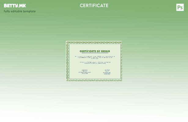 Модерен стил USA Origin Cert шаблон