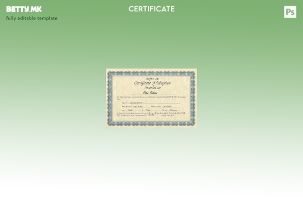 Модерен стил USA Raptor Inc Шаблон за сертификат за посвојување