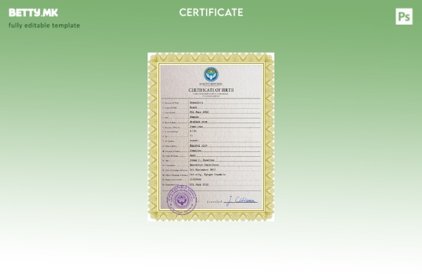 Модерен стил, шаблон за ПСД од извод од матична книга на родените во Киргистан