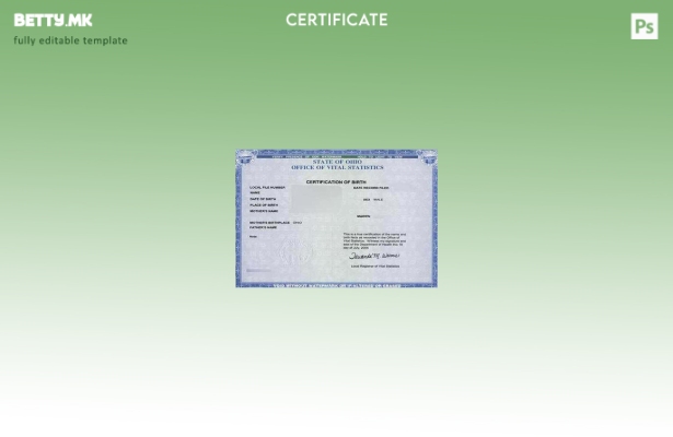 Модерен стил, шаблон за витална статистика на канцеларијата на САД во Охајо