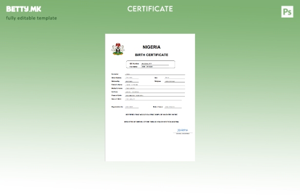 Модерен стил, шаблон за извод од матична книга на родени од витален рекорд во Ни