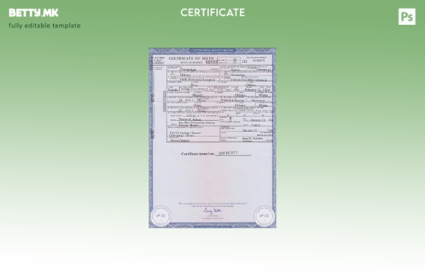 Модерен стил, шаблон за извод од матична книга на родените во државата Илиноис в