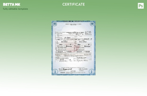 Модерен стил, шаблон за извод од матична книга на родените во државата Мисисипи