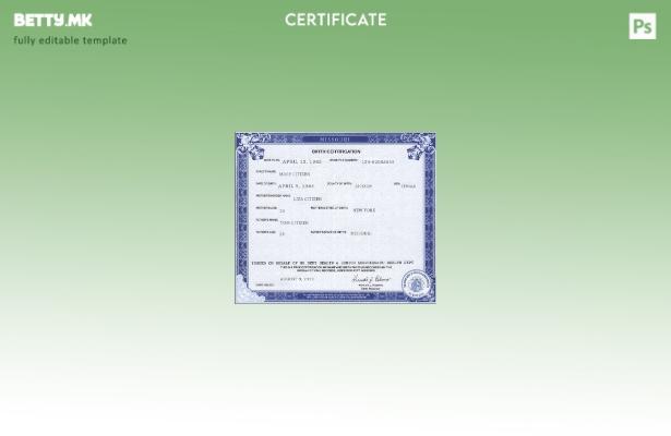 Модерен стил, шаблон за извод од матична книга на родените во државата Мисури во