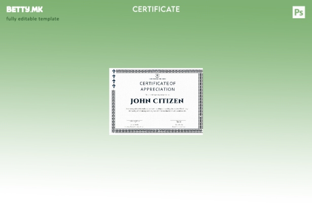 Модерен стил, шаблон за сертификат за благодарност на свештеникот на САД