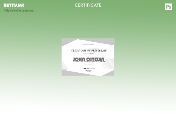 Модерен стил, шаблон за сертификат за комплетирање на застапништвото во САД