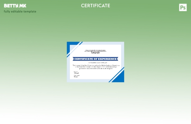 Модерен стил, шаблон за сертификат за работно искуство во САД