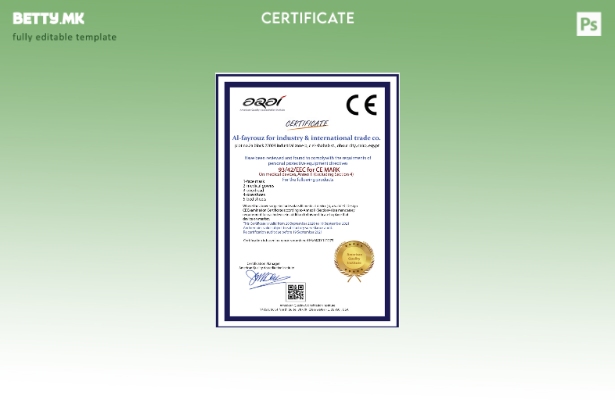 Модерен стил, шаблон за сертификат за CE од Институтот за квалитет на САД
