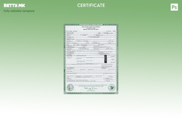 Модерен стил, шаблон за уверение за смрт од државата Илиноис во САД во шаблон за