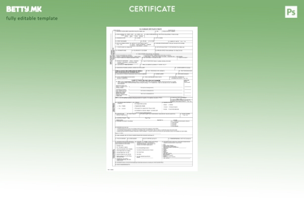 Модерен стил, шаблон за уверение за смрт, генерален регистар на САД