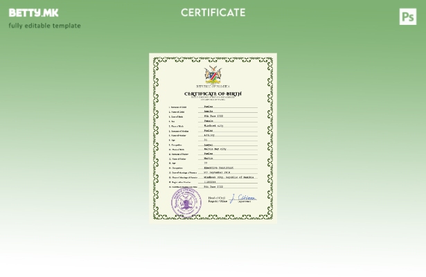 Модерен стил, шаблон за шаблон за ПСД од извод од матична книга на родените евид