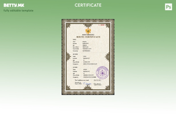 Модерен стил, шаблон за шаблон PSD од извод од матична книга на родените во Црна