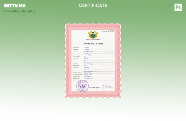 Модерен стил, шаблон за шаблон PSD од извод од матична книга на родените евиденц